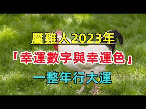 1969屬雞2023幸運色|1969年屬雞女2023年幸運色屬雞人2023兔年最旺的顏色 